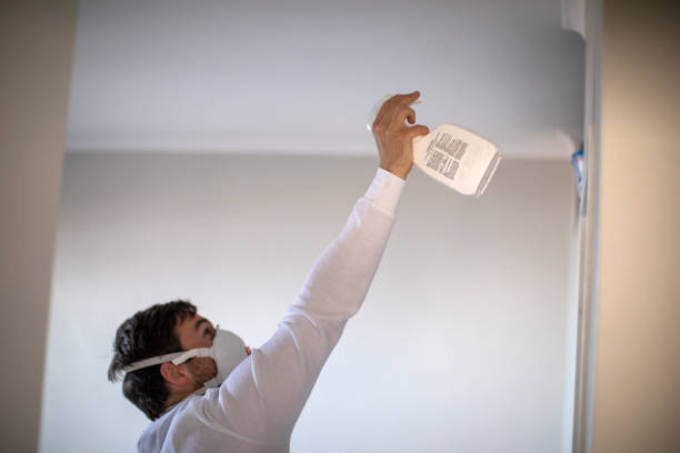 Best Attic Mold Remediation in Selden, NY