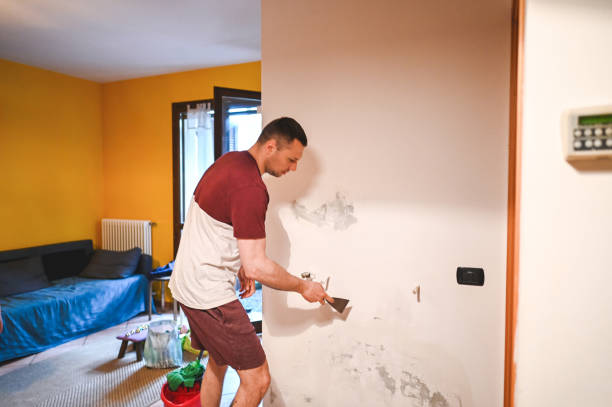 Best HVAC Mold Remediation in Selden, NY